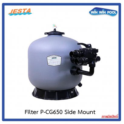 P-CG650(25") Side Mount Sand Filter Jesta
